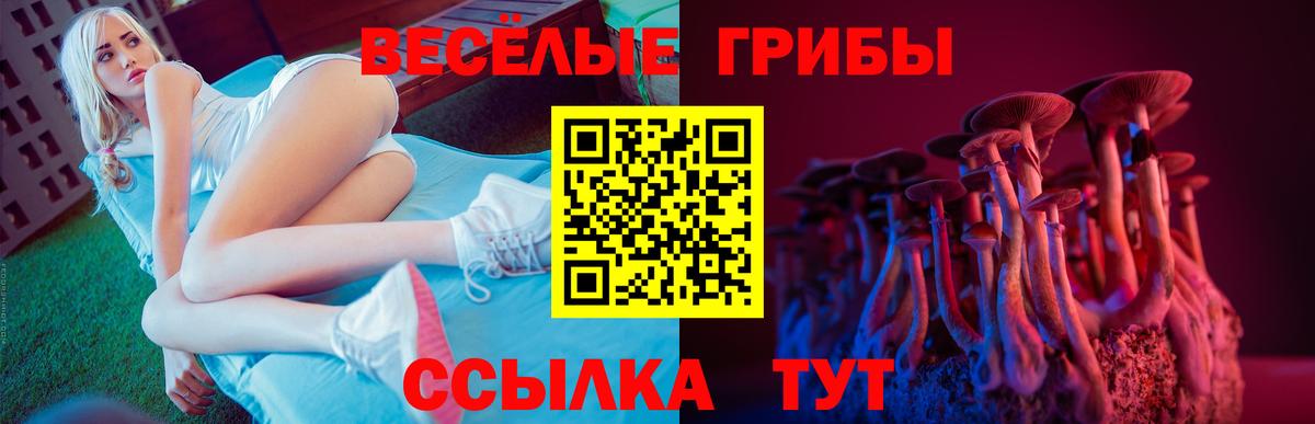 Псилоцибиновые грибы Cubensis  Псилоцибиновые грибы ЛСД  Вход с VPN  Новороссийск 